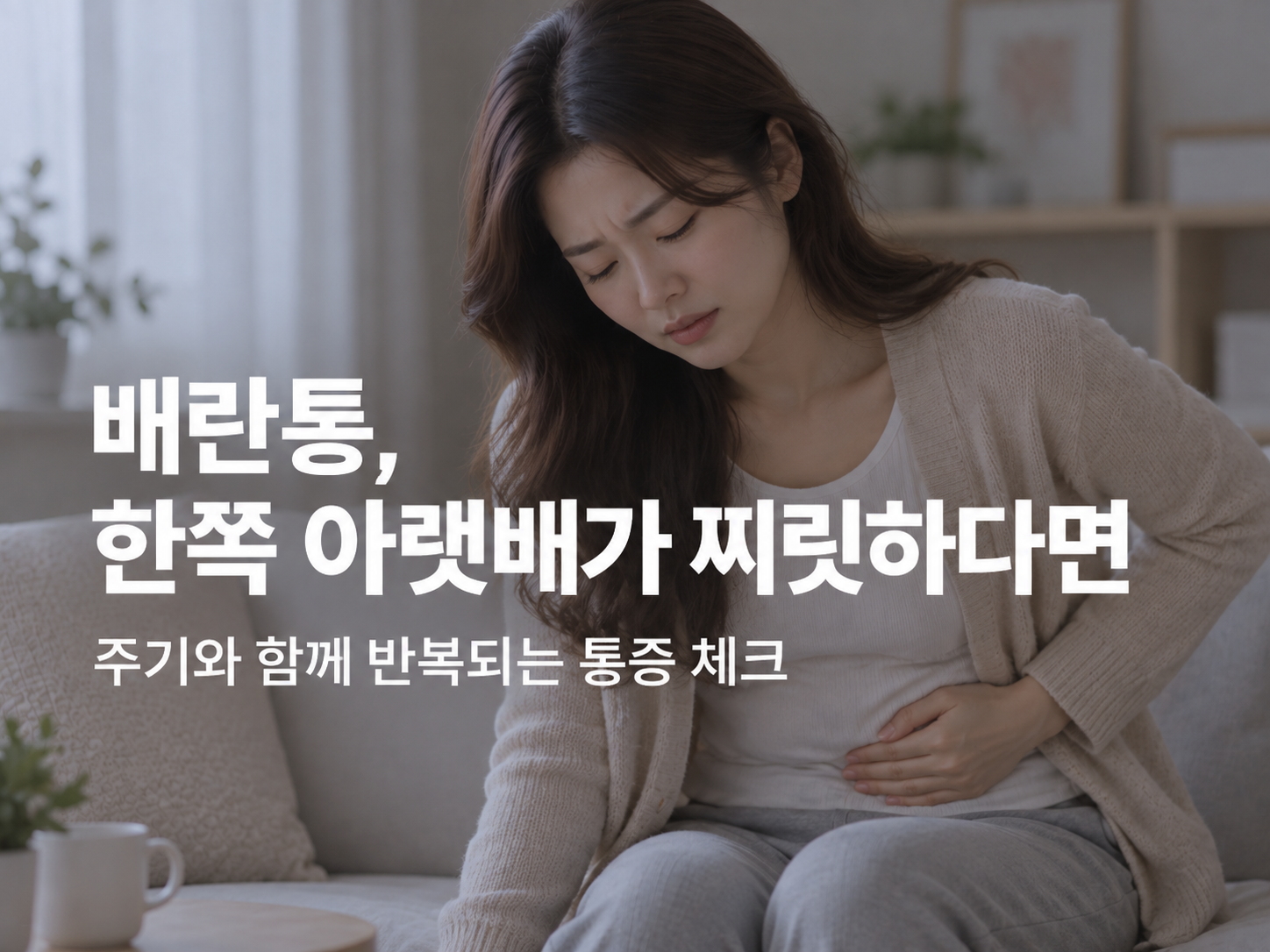 아산 난소낭종 한의원 관련 증상과 감별 안내 이미지