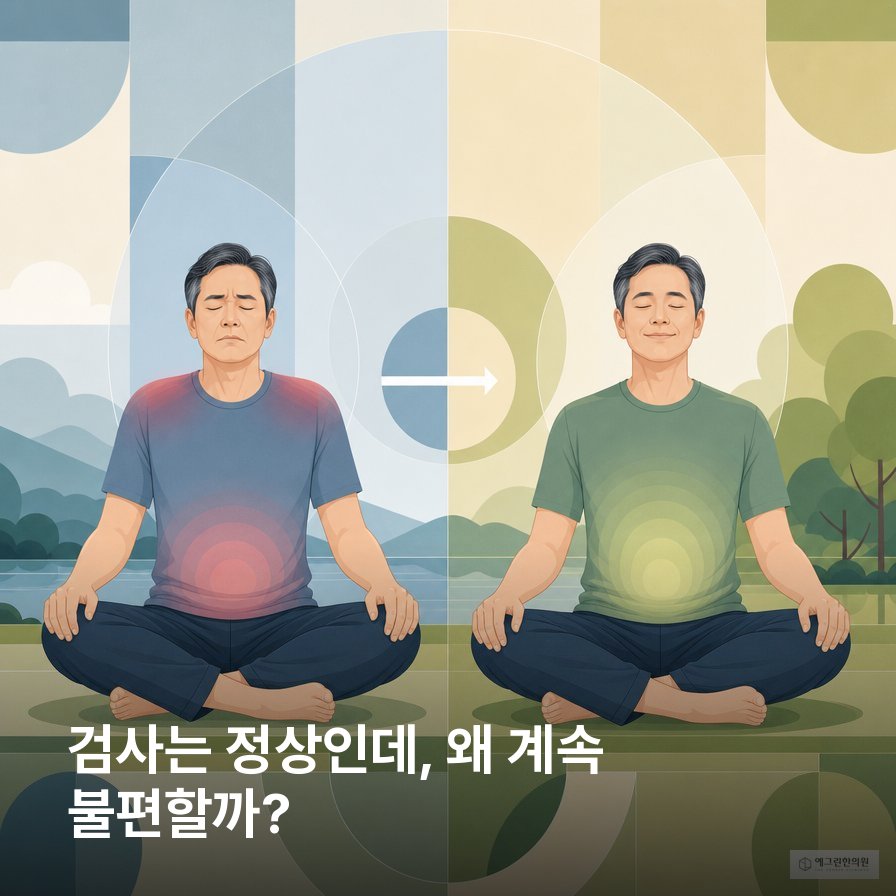 소화제를 먹어도 소화불량이 반복되는 이유